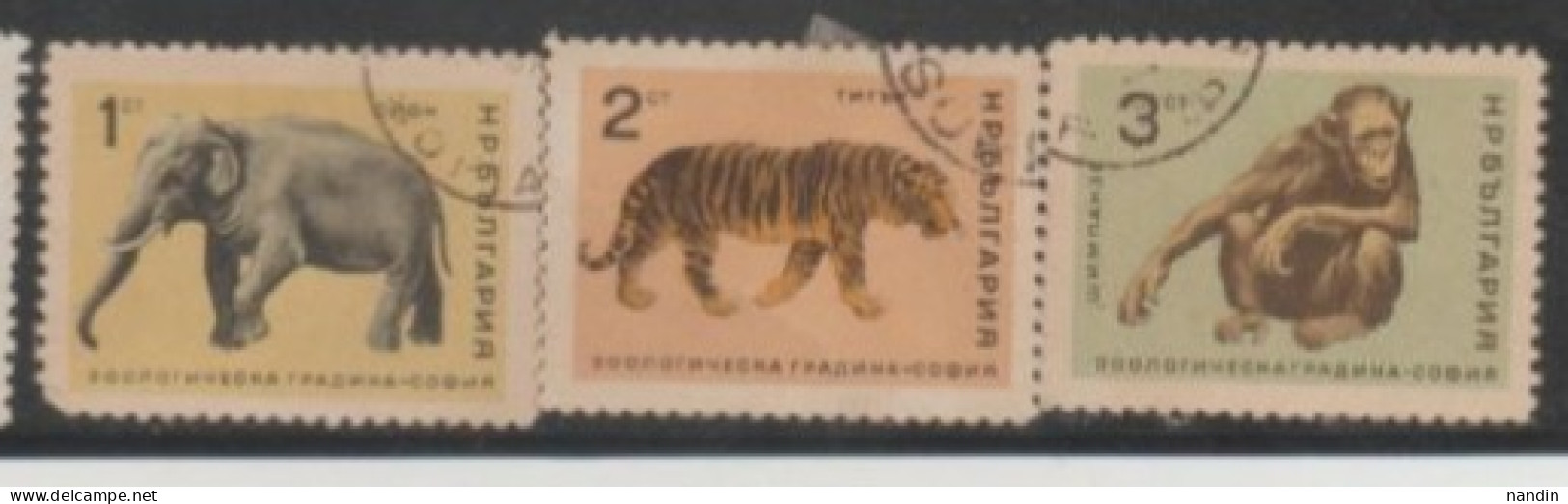 1966 BULGARIA STAMP USED On - Sofia City Zoo/Elephant,Tiger,Chimpanzee - Vaches