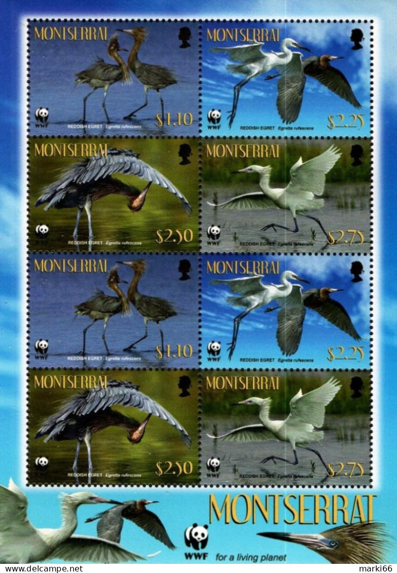 Montserrat - 2010 - WWF - Birds - Reddish Egret - Mint Miniature Stamp Sheet - Montserrat