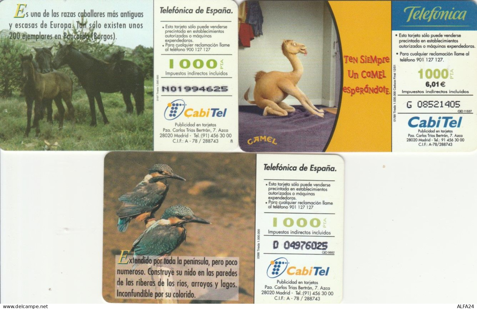 LOT 3 PHONE CARDS SPAGNA (PY2313 - Sonstige & Ohne Zuordnung