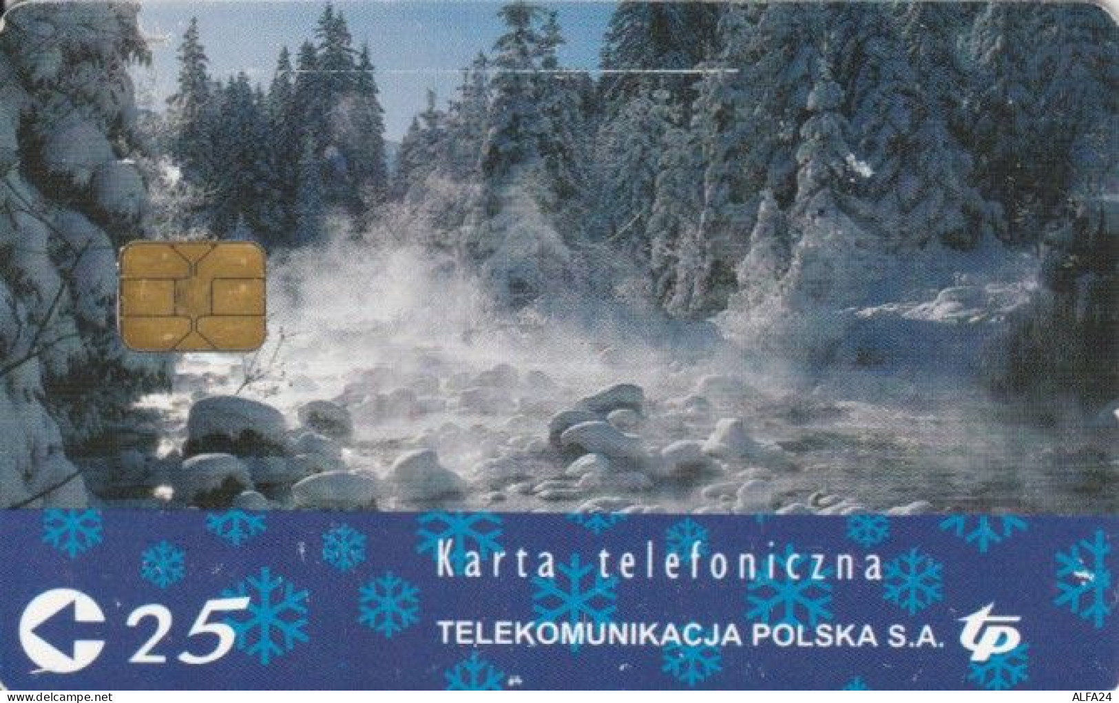 PHONE CARD POLONIA CHIP (PY1919 - Pologne