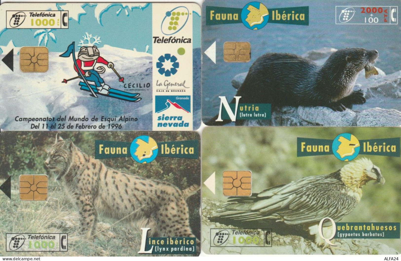 LOT 4 PHONE CARDS SPAGNA (PY2315 - Other & Unclassified