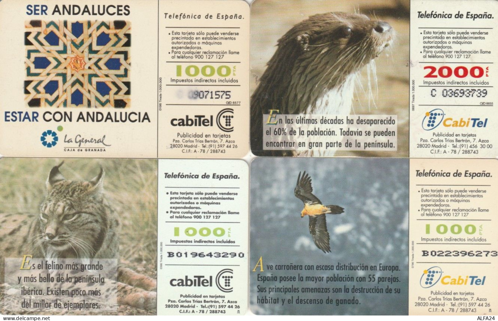 LOT 4 PHONE CARDS SPAGNA (PY2315 - Otros & Sin Clasificación