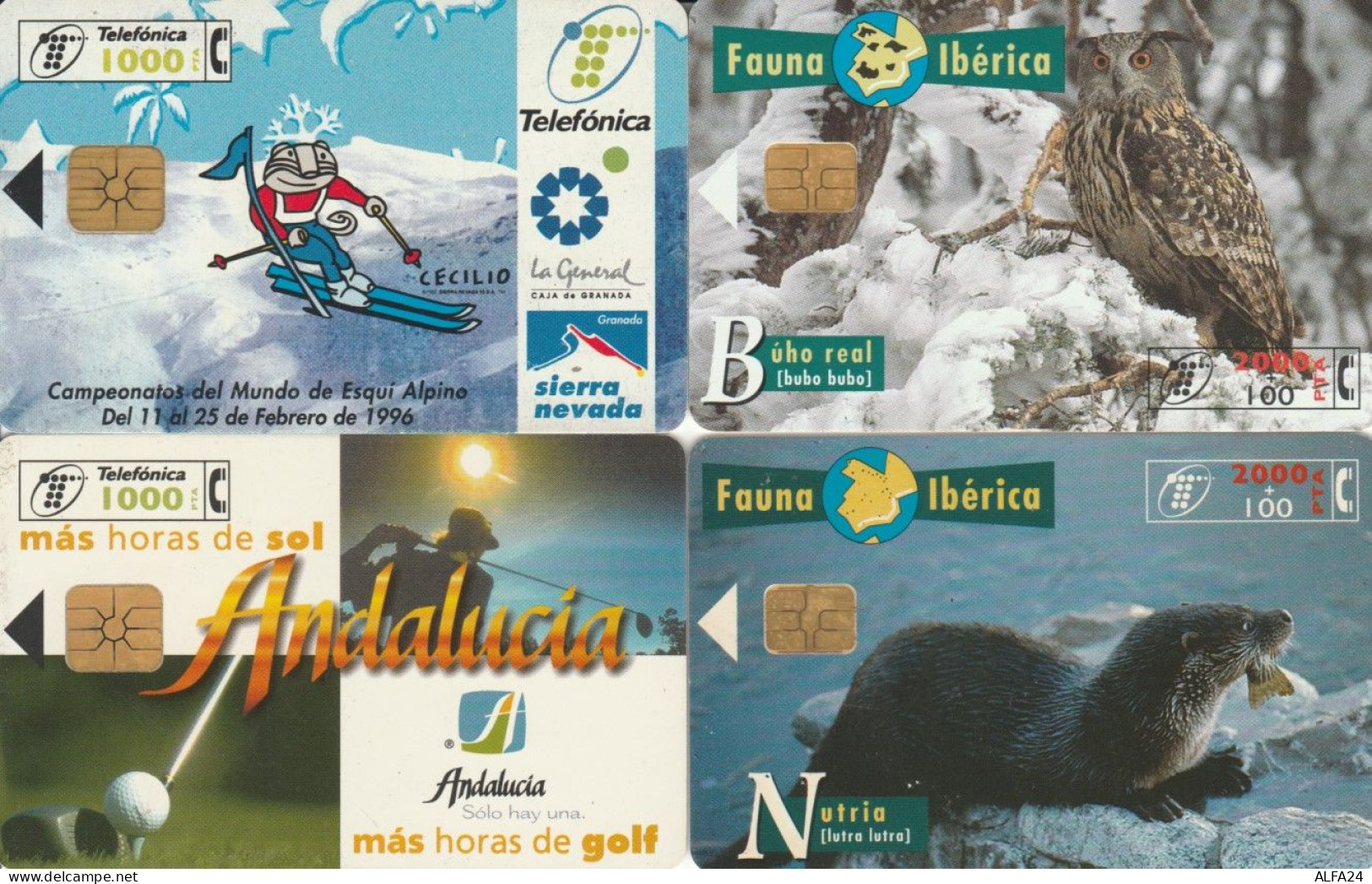 LOT 4 PHONE CARDS SPAGNA (PY2314 - Andere & Zonder Classificatie