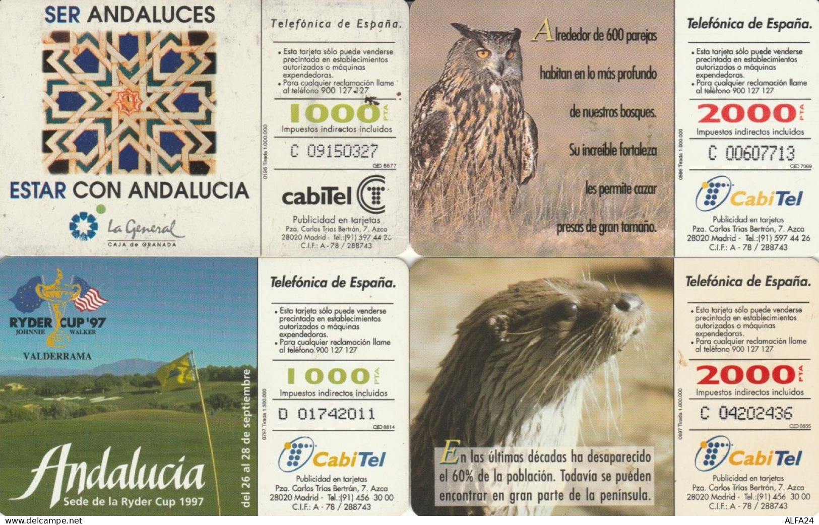 LOT 4 PHONE CARDS SPAGNA (PY2314 - Autres & Non Classés