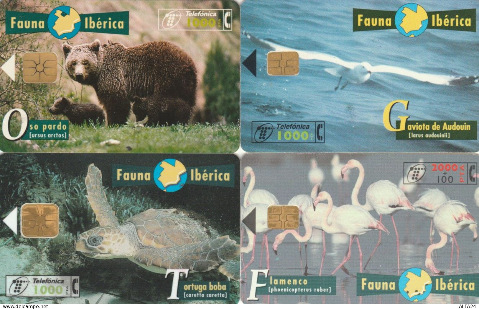 LOT 4 PHONE CARDS SPAGNA (PY2311 - Other & Unclassified