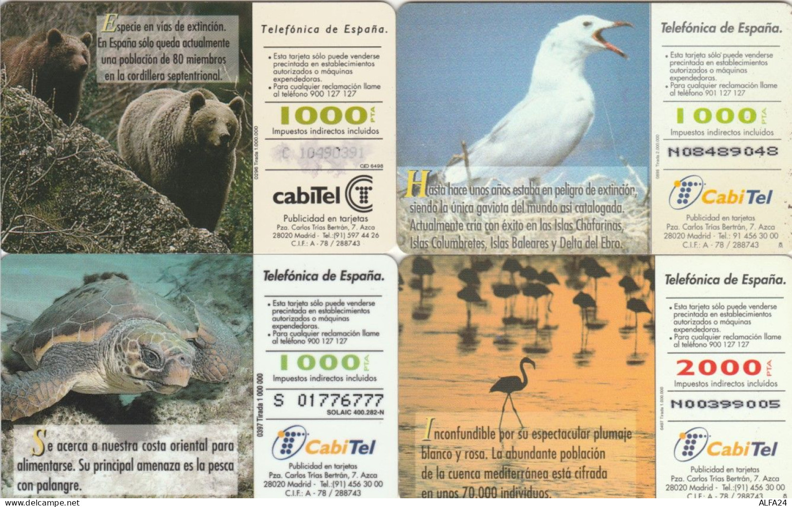 LOT 4 PHONE CARDS SPAGNA (PY2311 - Andere & Zonder Classificatie