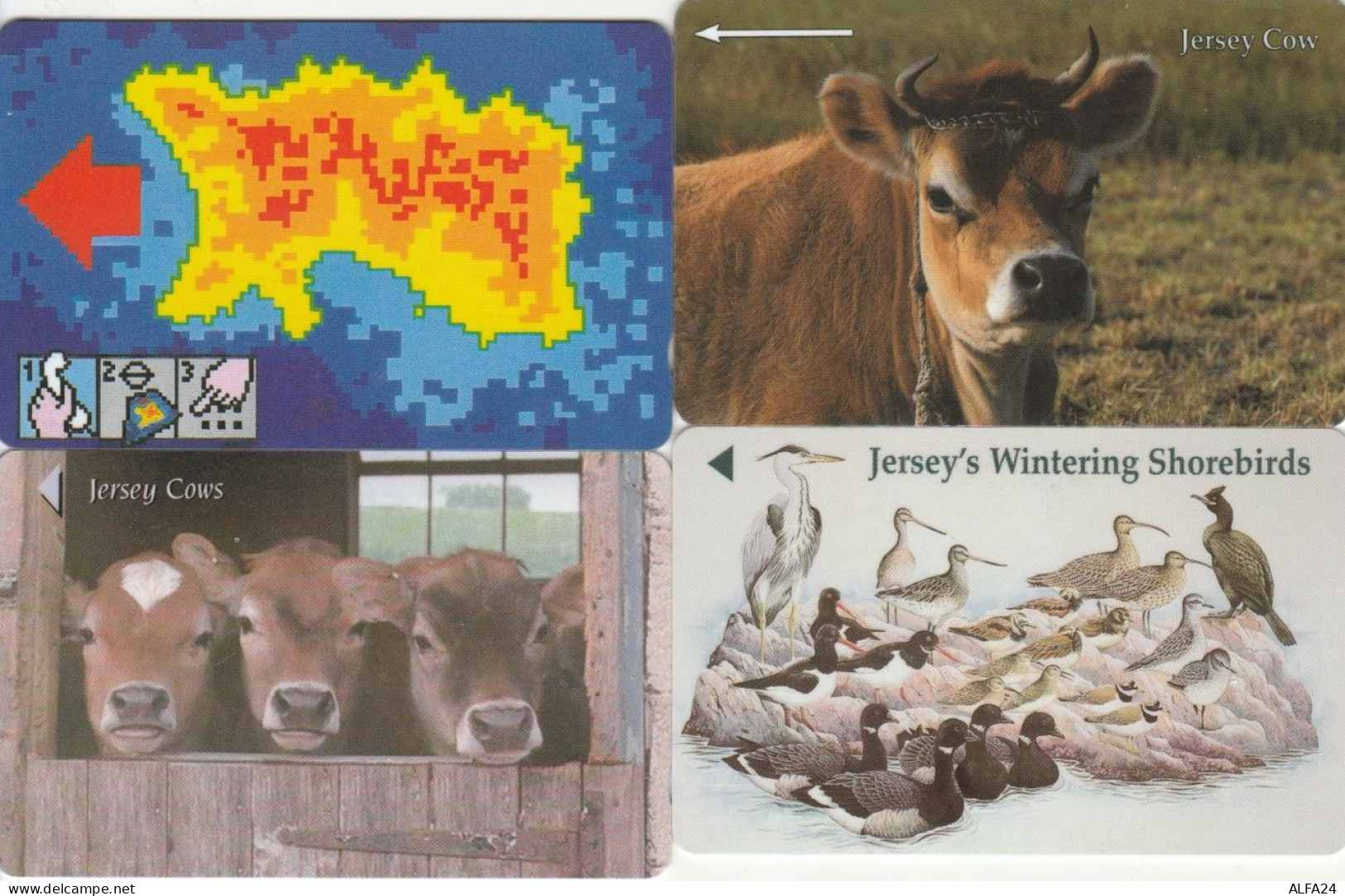 LOT 4 PHONE CARDS JERSEY (PY2085 - [ 7] Jersey Und Guernsey