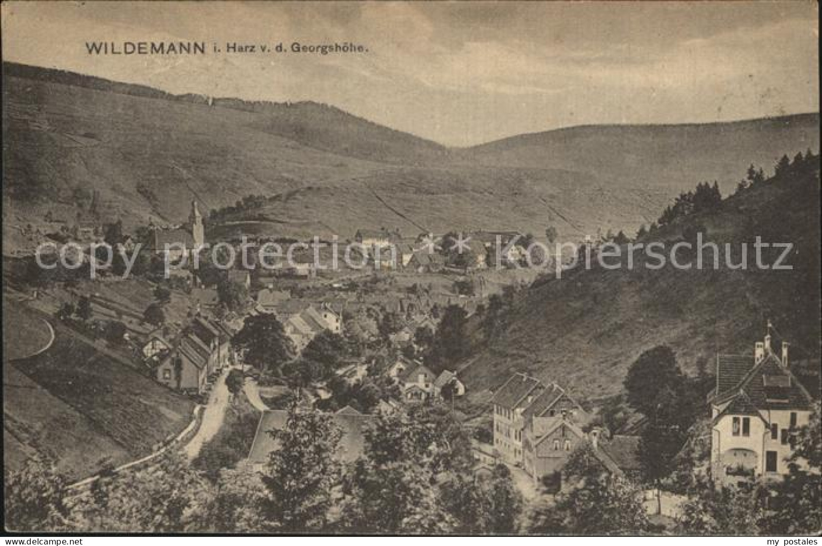 42560451 Wildemann Panorama Blick Von Der Georgshoehe Wildemann Harz - Wildemann