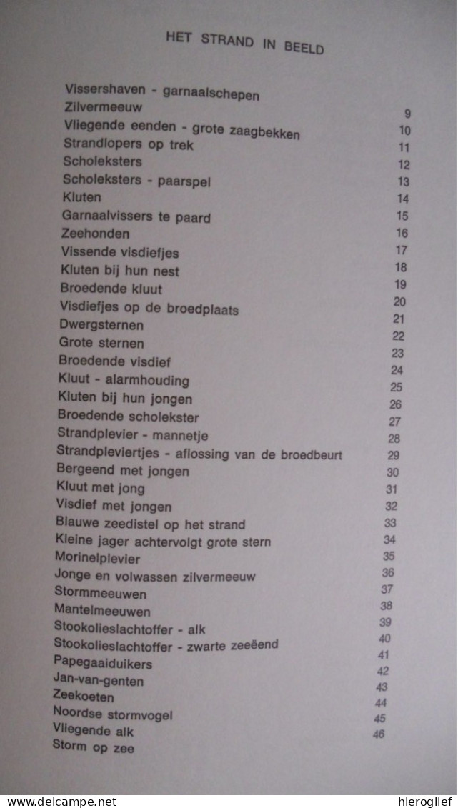 Natuur in miniatuur HET STRAND dor Dr Flip Polk & M Verbruggen tekeningen Maria Claerhout krab wulk fauna flora zee kust