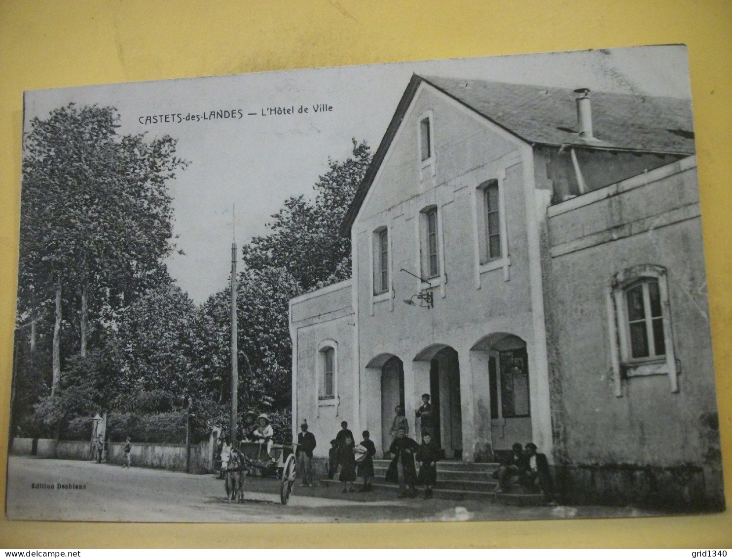 40 9598 CPA - 40 CASTETS DES LANDES - L'HOTEL DE VILLE - ANIMATION. ATTELAGE D'ANE AVEC ENFANTS. - Castets