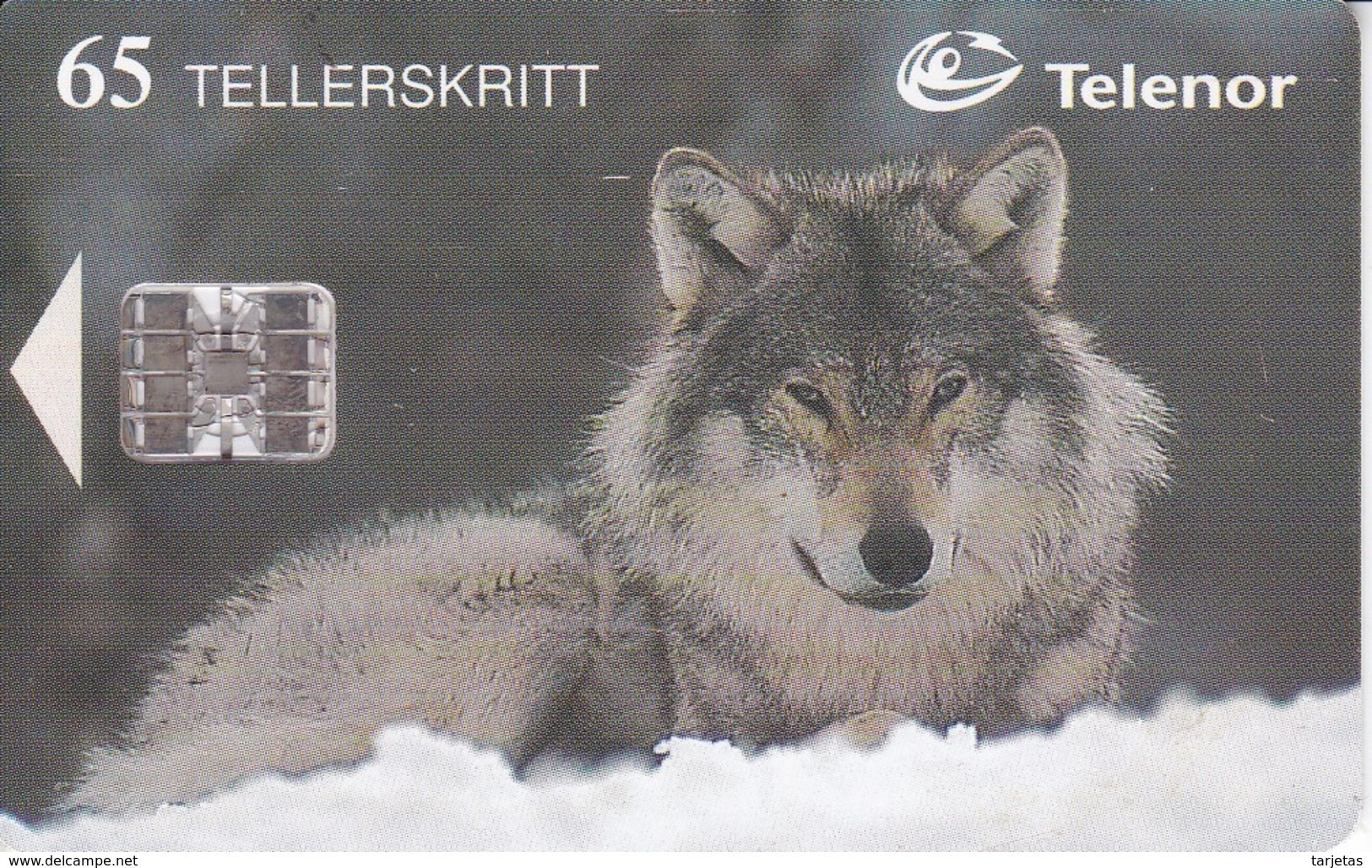 TARJETA DE NORUEGA DE UN LOBO  (WOLF-LOBO) - Norvège