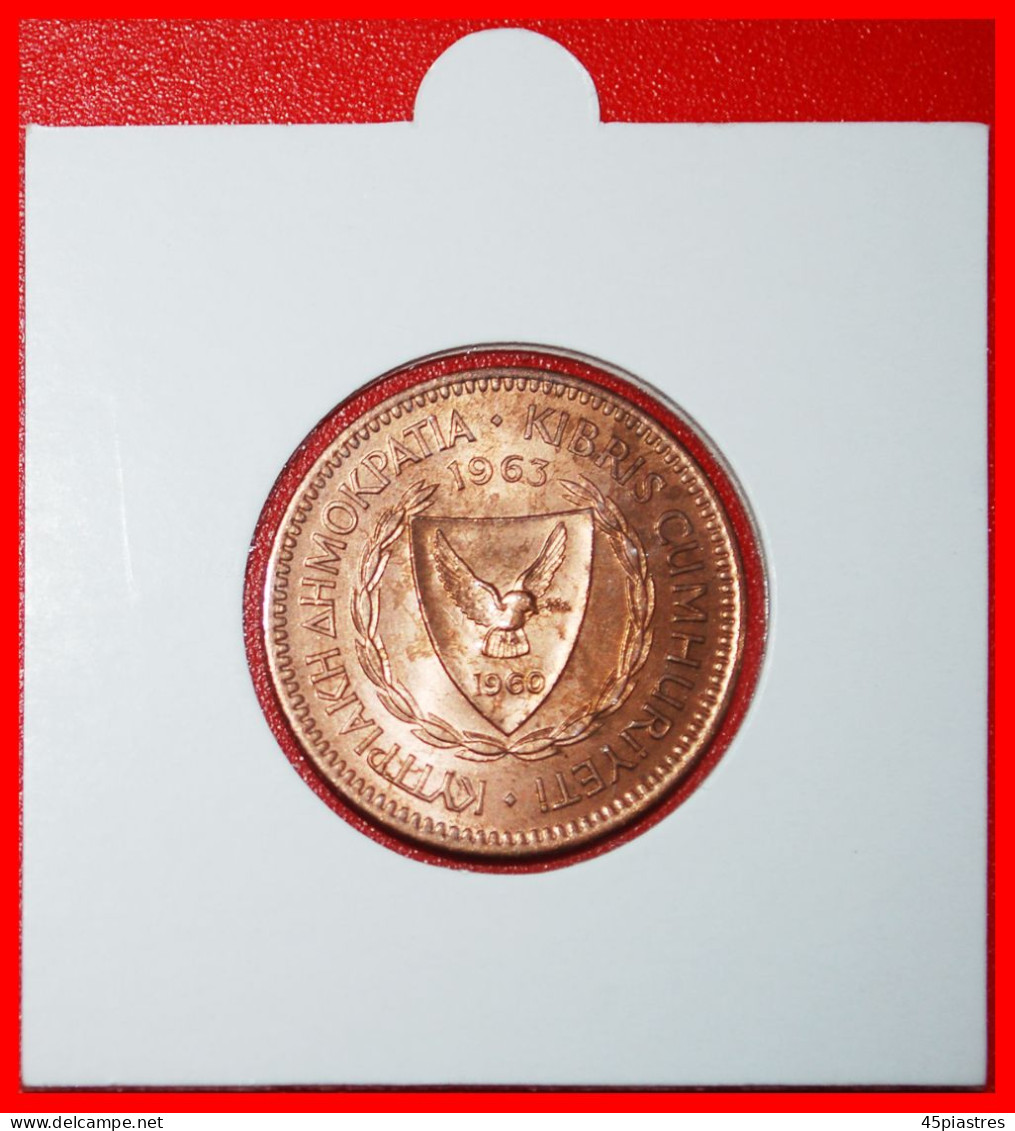 * SHIP (1963-1980): CYPRUS  5 MILS 1963 UNC MINT LUSTRE! IN HOLDER!  · LOW START ·  NO RESERVE! - Chypre