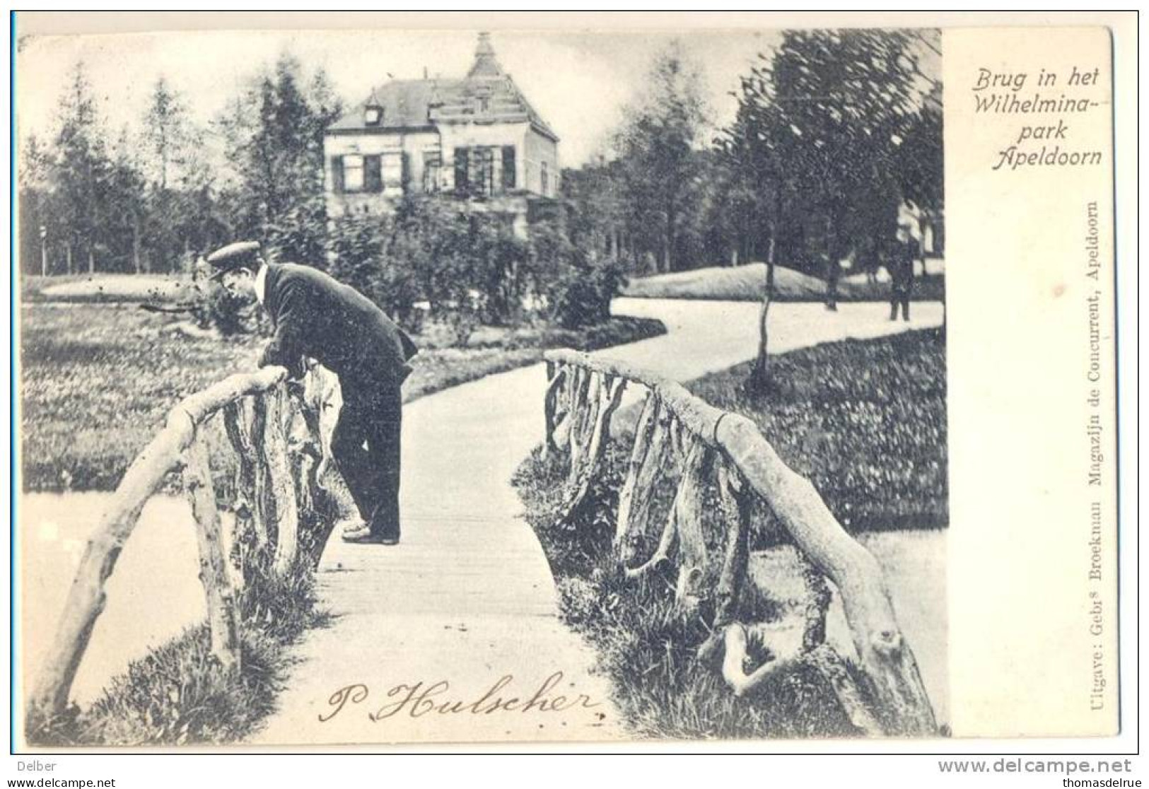3pk896: Brug In Het Wilhelminapark :> ZALTBOMMEL  1903 - Apeldoorn