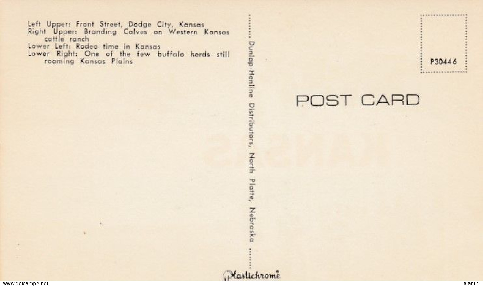 Kansas ' Where The West Begins' Bison American Buffalo Herd, Rodeo, Cowboys Branding Cattle, C1960s Vintage Postcard - Autres & Non Classés