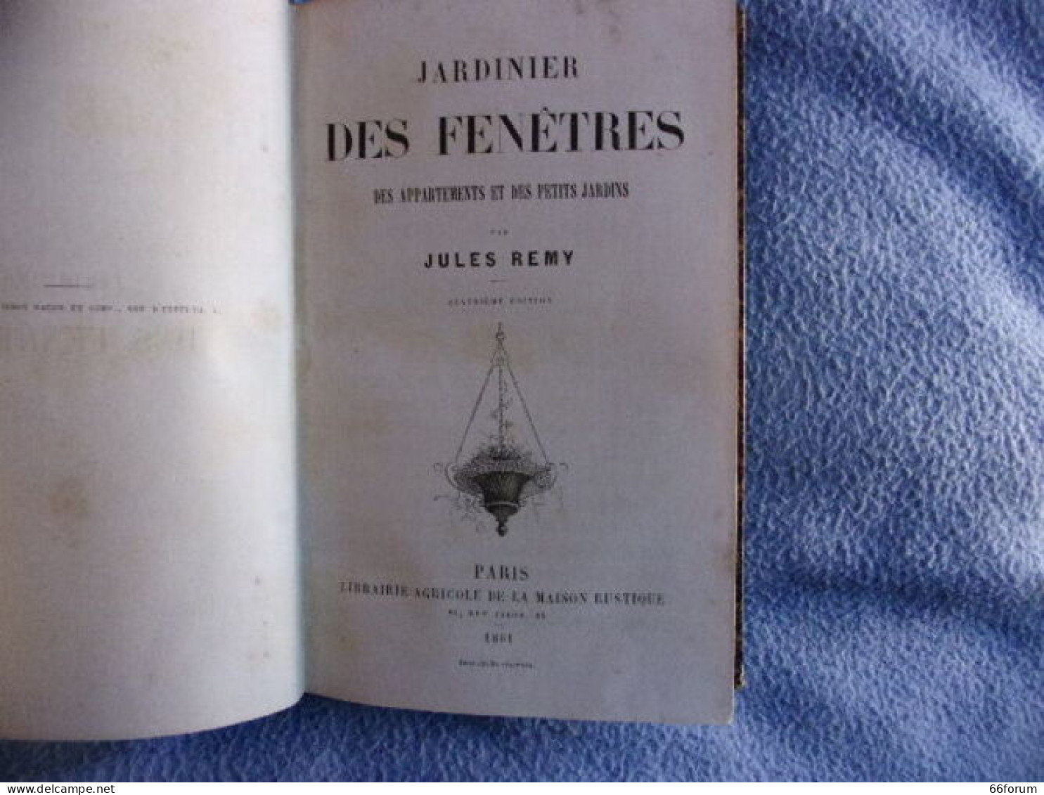 Jardinier Des Fenëtres Des Appartements Et Des Petits Jardins - Sciences