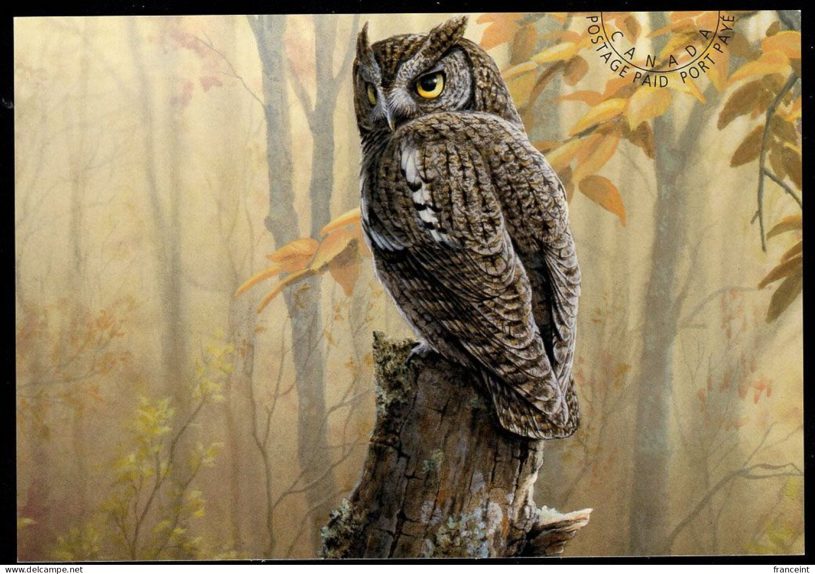 CANADA(1998) Eastern Screech Owl. International Postage Paid Postal Card . - 1953-.... Reign Of Elizabeth II