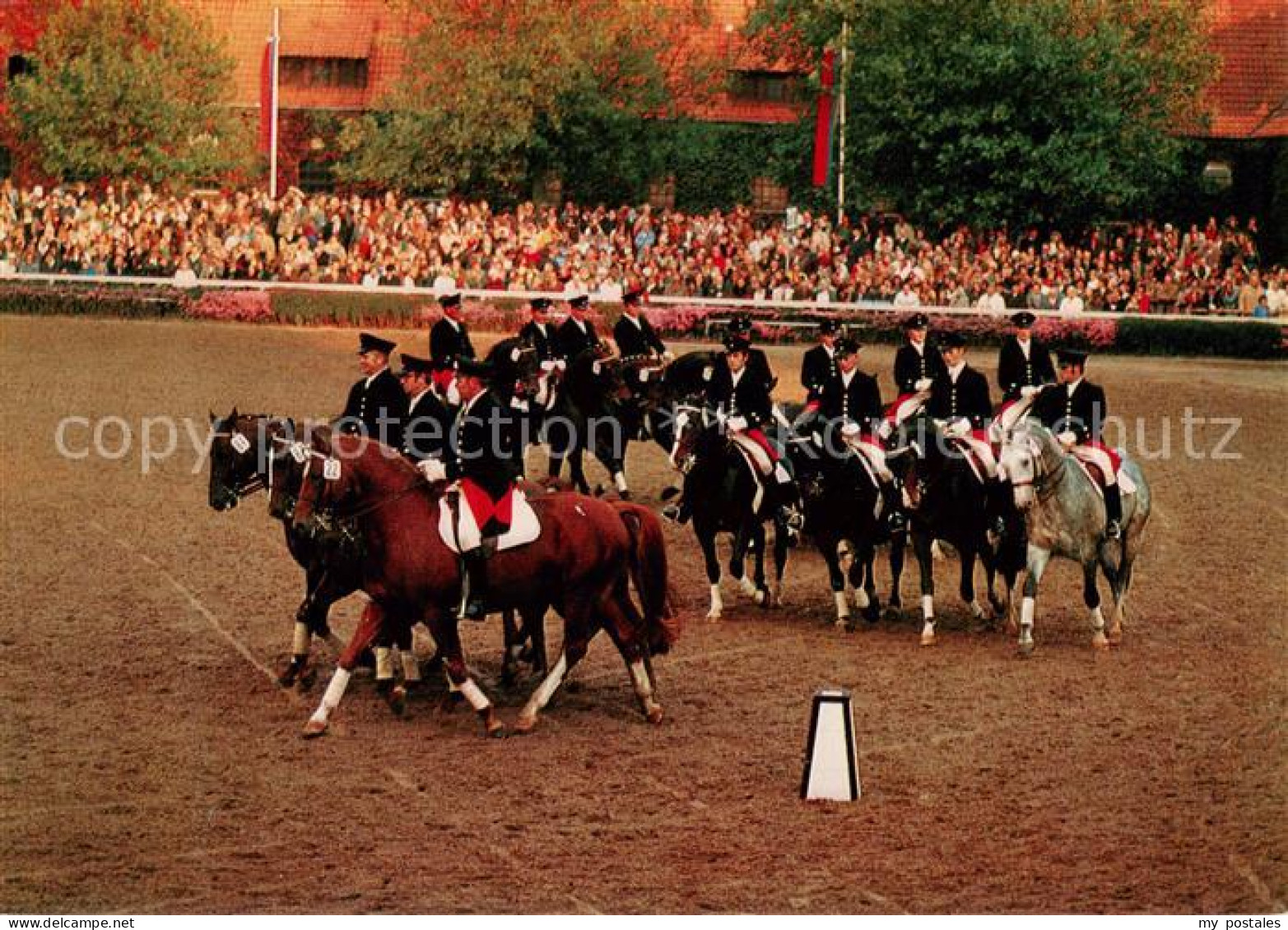 73865699 Warendorf Nordrhein-Westfaelisches Landgestuet Warendorfer Hengstparade - Warendorf