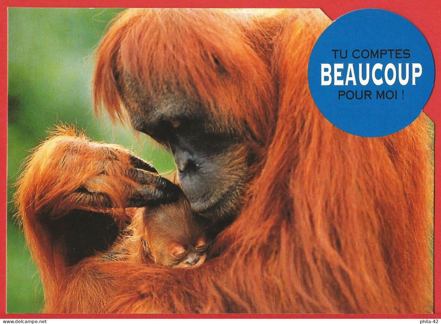 Singes : Orang-Outang " Je T'aime Beaucoup  " Carte écrite 1995 TBE - Singes