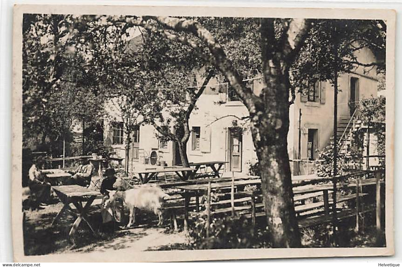 Hôtel Pension Château Grillet Vich Sur Nyon Chèvre 1930 - Vich