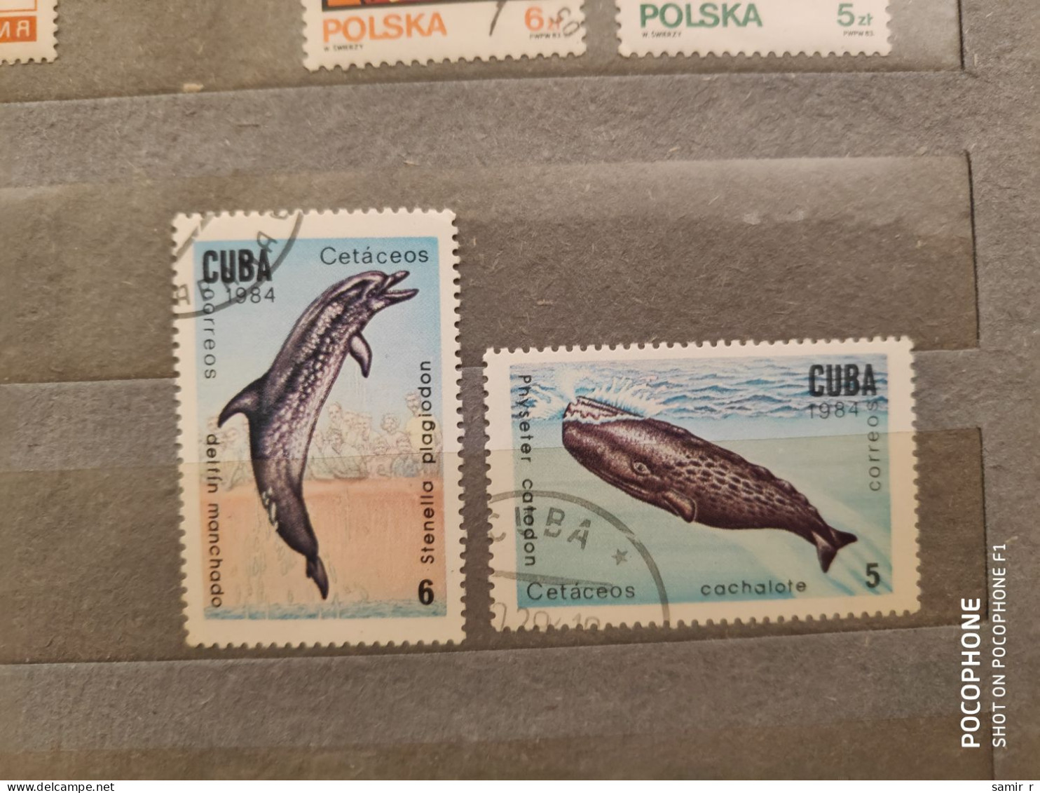 1984	Cuba	Fishes (F75) - Used Stamps