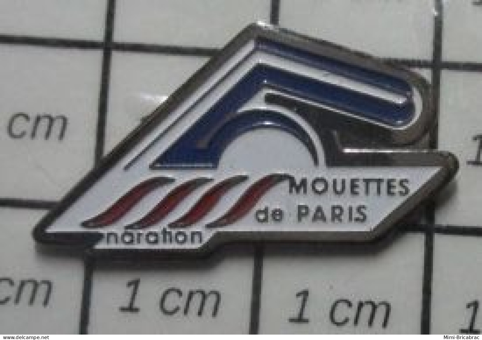 610D  Pin's Pins / Beau Et Rare / SPORTS / CLUB DE NATATION LES MOUETTES DE PARIS - Zwemmen