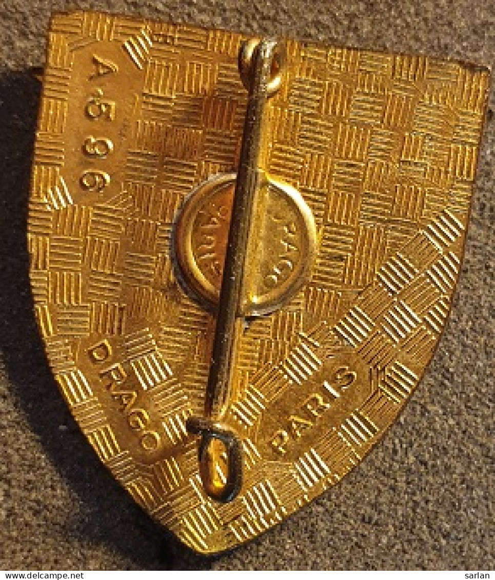 Insigne Militaire 21 , Base Aérienne 116, LUXEUIL, émail, Dos Guilloché - Armée De L'air