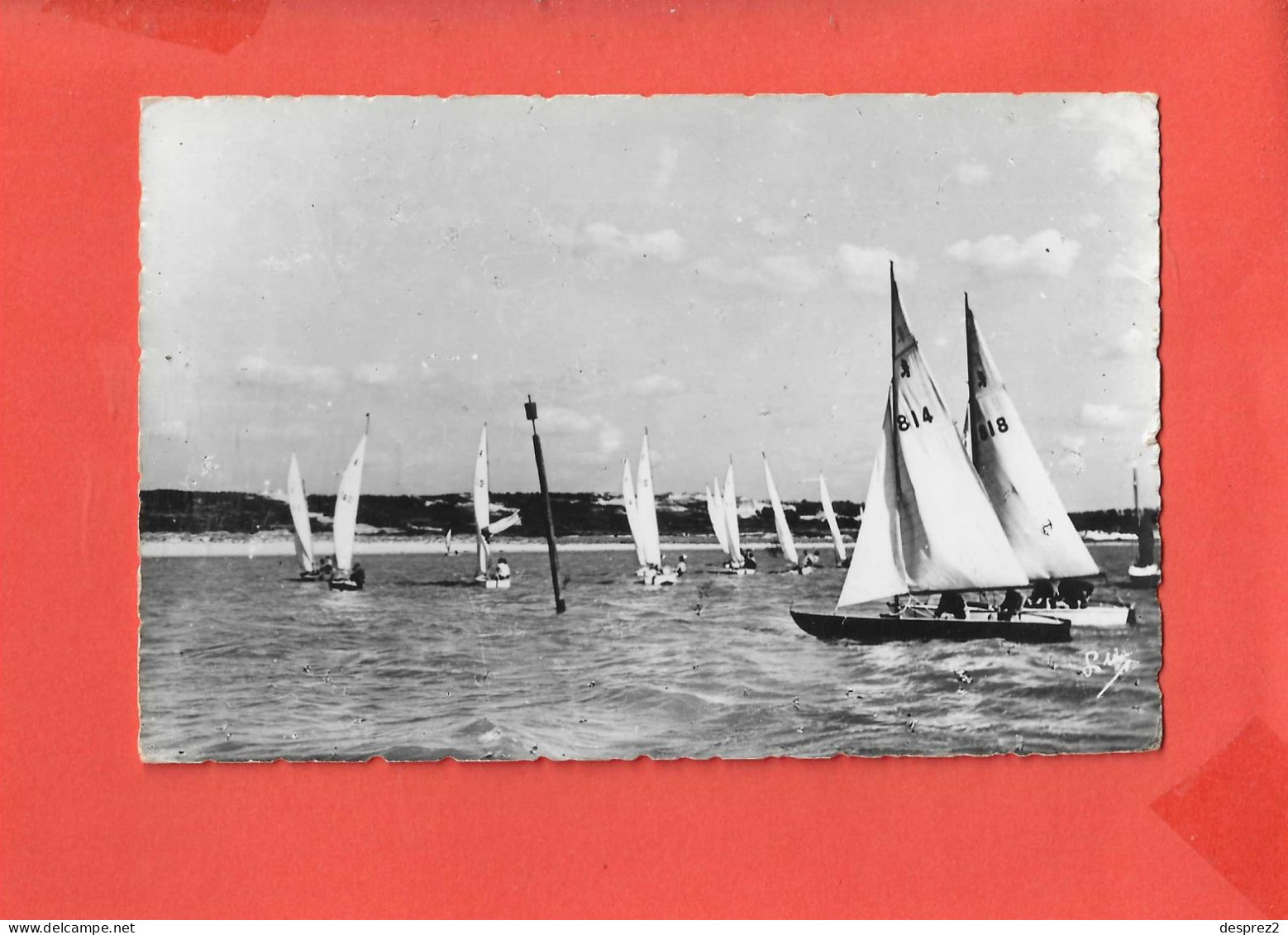 Les Régates VOILE Cpsm Animée Au Touquet      141 Luc - Vela