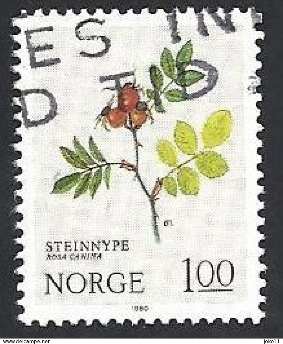 Norwegen, 1980, Mi.-Nr. 826, Gestempelt - Gebraucht