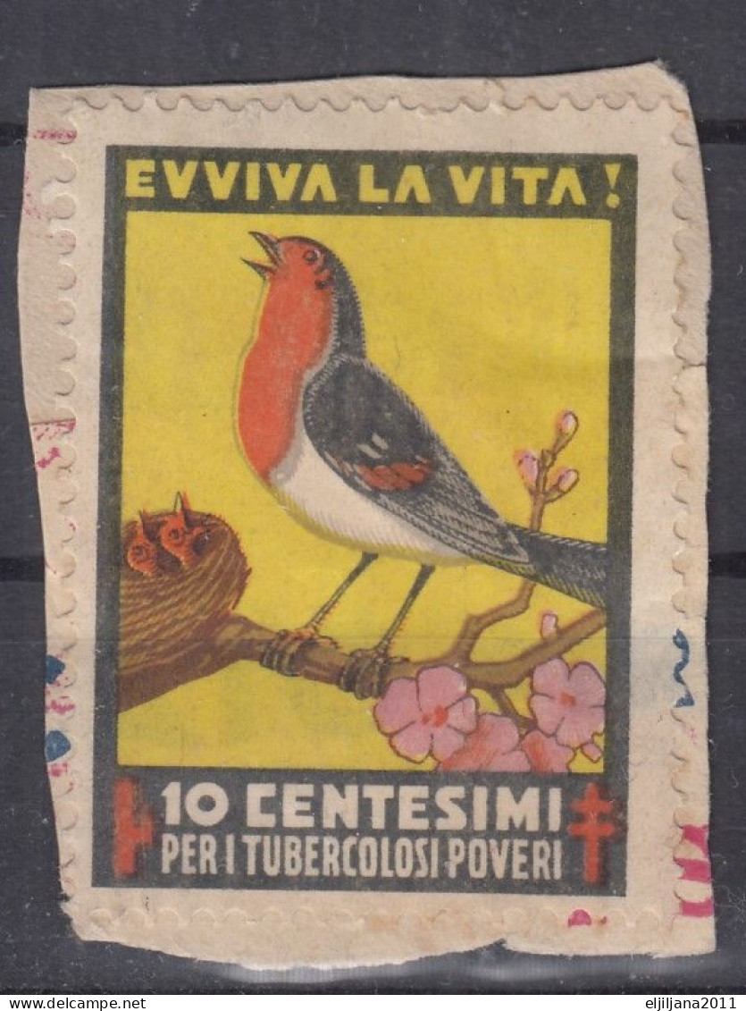 Italy 1938 ⁕ EVVIVA LA VITA! PER I TUBERCOLOSI POVERI  10 Centesimi ⁕ CHARITY STAMP 1v Used On Paper - Erinnophilie