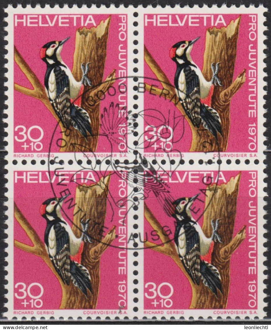 1970 Schweiz Pro Juventute ET ° Zum: CH J234, Mi: CH 938, Grosser Buntspecht, Einheimische Vögel - Specht- & Bartvögel