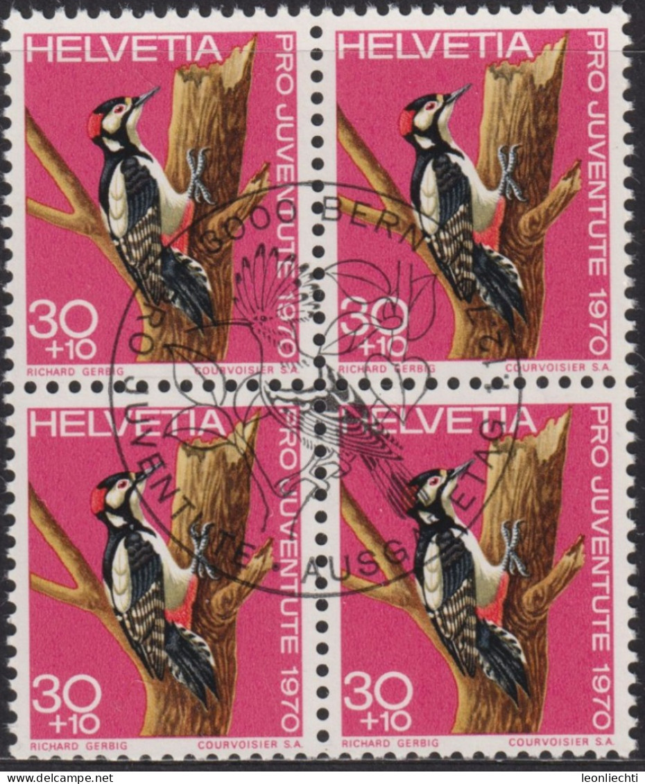 1970 Schweiz Pro Juventute ET ° Zum: CH J234, Mi: CH 938, Grosser Buntspecht, Einheimische Vögel - Specht- & Bartvögel