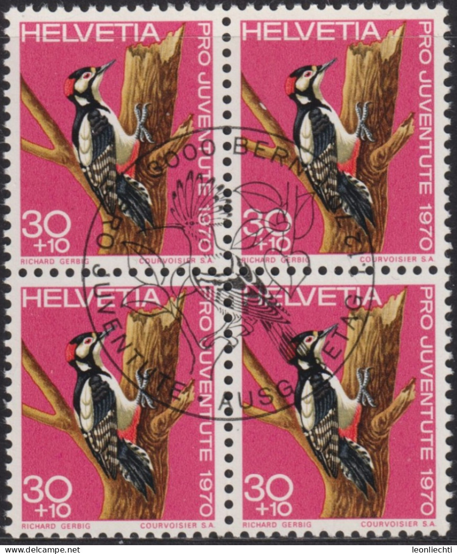 1970 Schweiz Pro Juventute ET ° Zum: CH J234, Mi: CH 938, Grosser Buntspecht, Einheimische Vögel - Pics & Grimpeurs