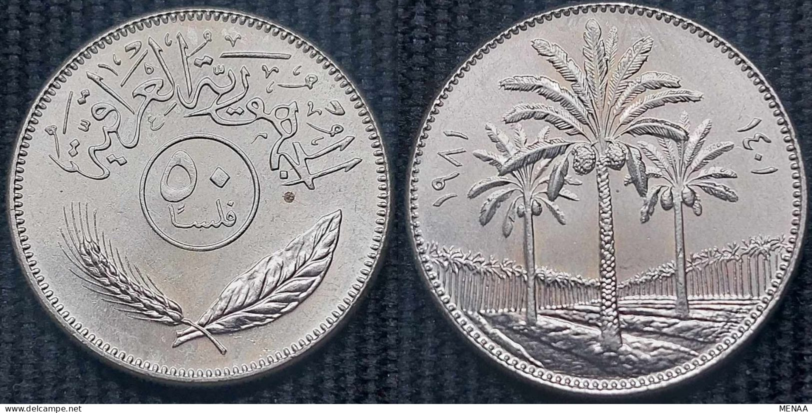 IRAQ - 50 FILS 1981 - UNC - Iraq