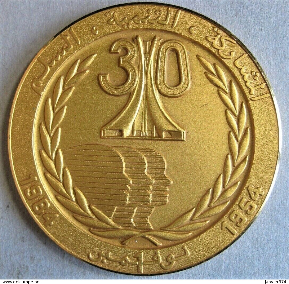 Algérie Médaille En Bronze 30ème Anniversaire De L'Indépendance 1954 - 1984 - Autres & Non Classés