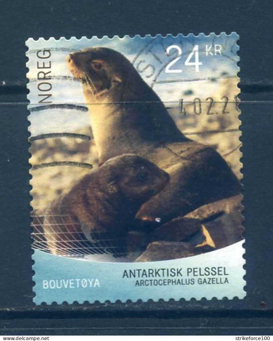 Norway 2018 - Bouvet Island, Used 24kr Used Stamp, Nice Postmark!! - Oblitérés
