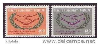 1965 TURKEY INTERNATIONAL CO-OPERATION YEAR MNH ** - Neufs