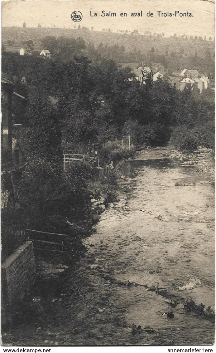 La Salm En Aval De Trois-Ponts - Trois-Ponts