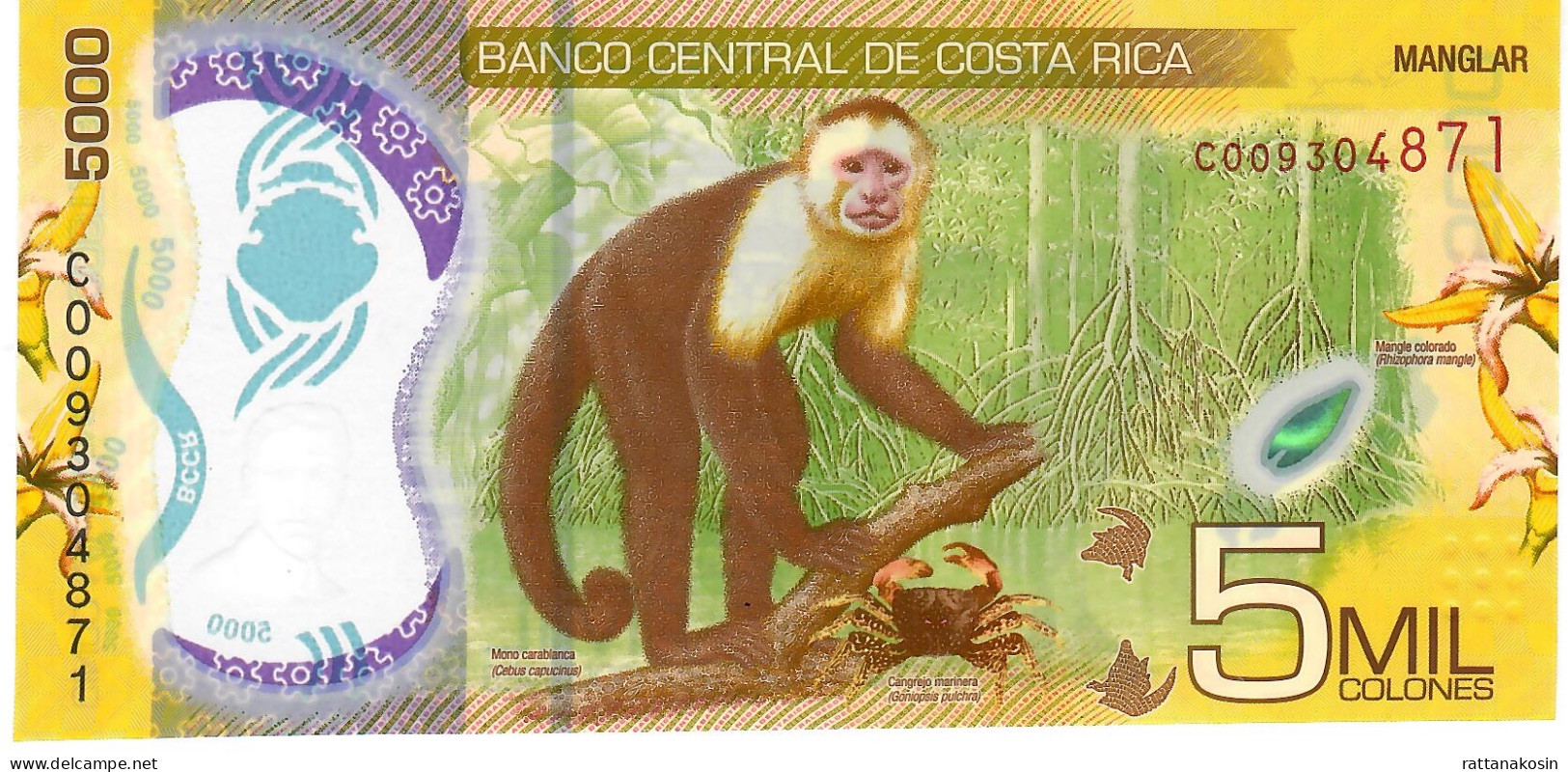 COSTA RICA NLP (= P282 ? ) 5000 COLONES 2018 UNC. - Costa Rica