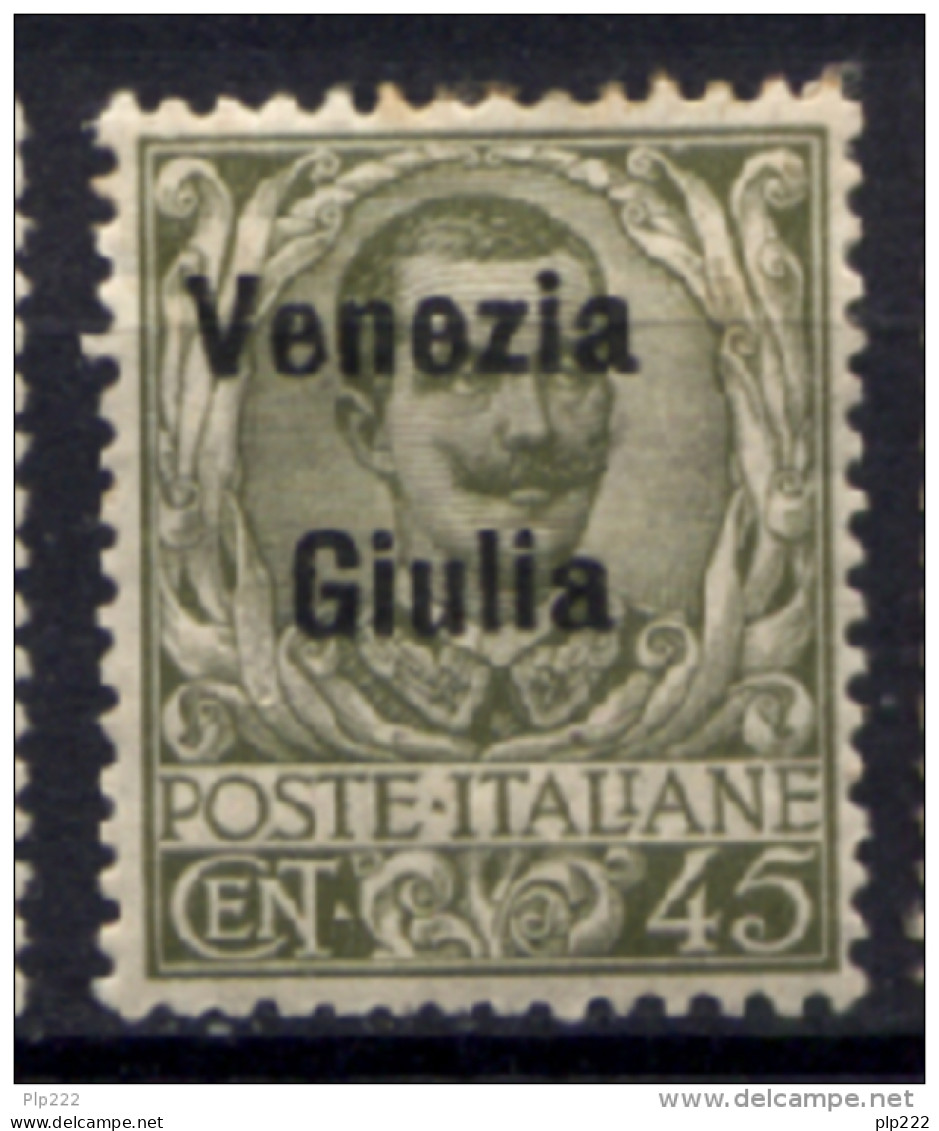 Venezia Giulia 1918 Sass.26 */MH VF/F - Vénétie Julienne