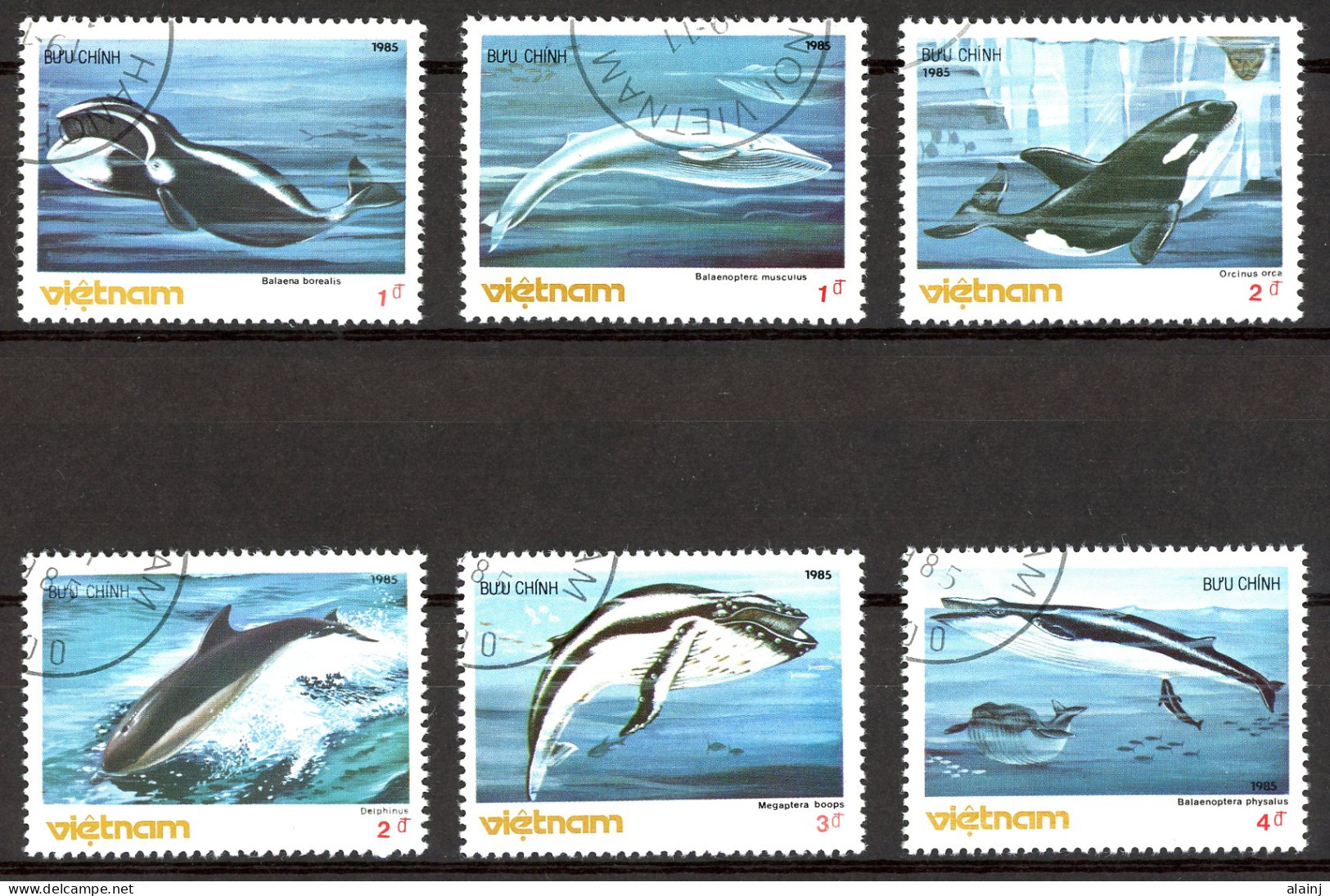 Viêt-Nam   Y&T   616 - 621    Obl   ---  1985  --  Faune : Cétacés   --  TTB - Used Stamps