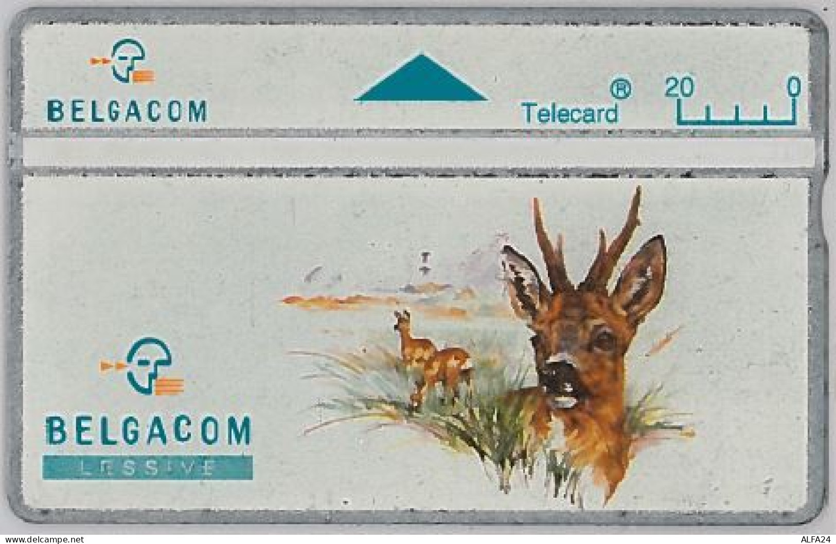 PHONE CARD - BELGIO (H.7.6 - Without Chip