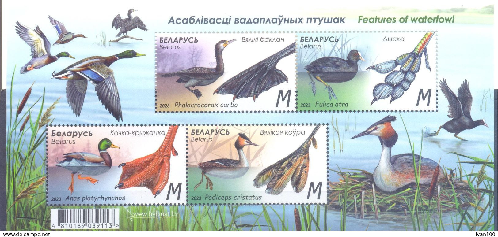 2023. Belarus, Fauna Of Belarus, Birds, Features Of Waterfowl, S/s, Mint/** - Belarus