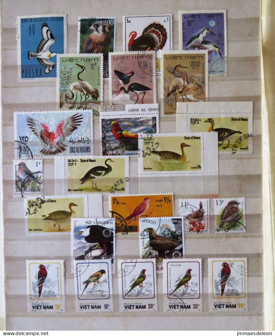 Birds Turkey Ducks Geese - Colecciones & Series