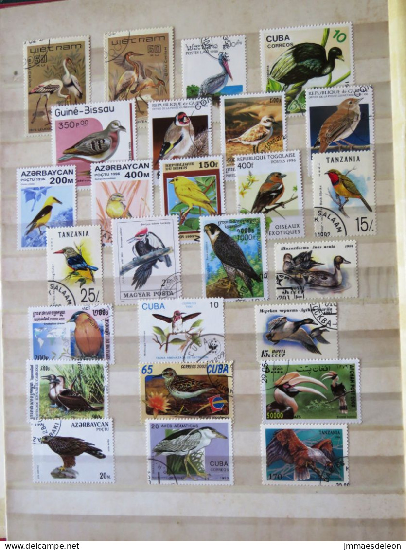Birds - Colecciones & Series