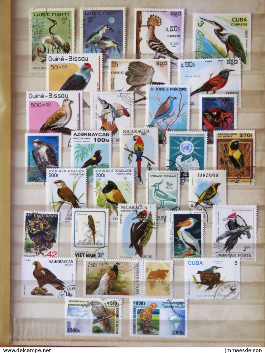 Birds Woodpecker Parrot Vulture Owl - Collections, Lots & Séries