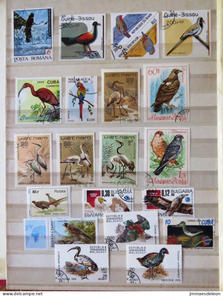 Birds Raptors Aquatic - Collections, Lots & Series