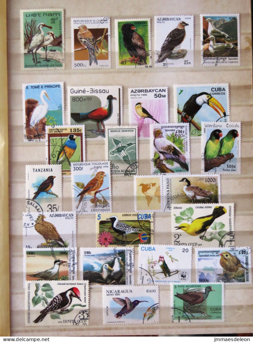 Birds Tucan Parrots - Collections, Lots & Series