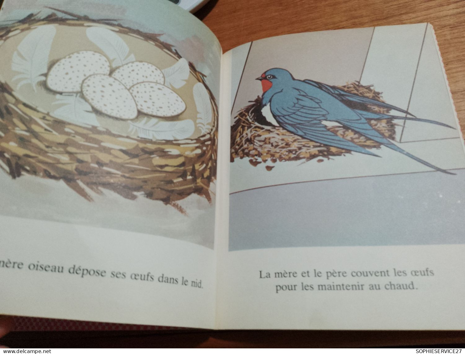 147 //  LES OISEAUX / GENTIL COQUELICOT "EVEIL" 1978   23 Pages - Hachette