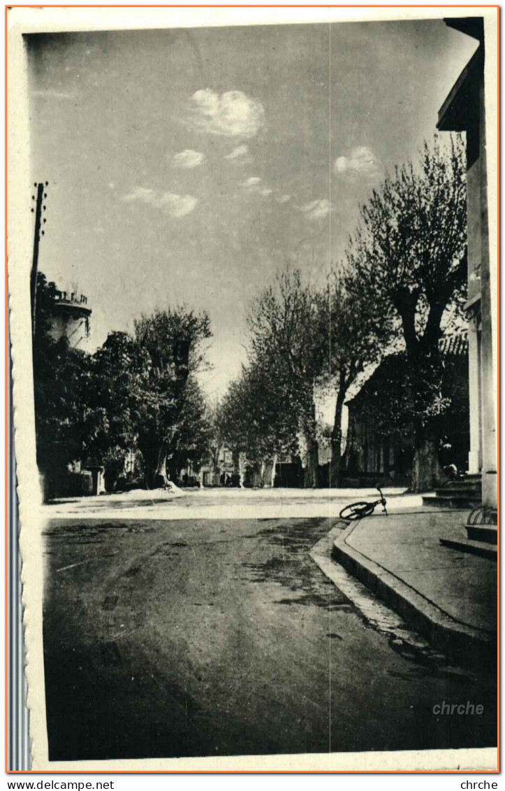 84 - CPSM - CAMARET - Cours Du Midi - Camaret Sur Aigues