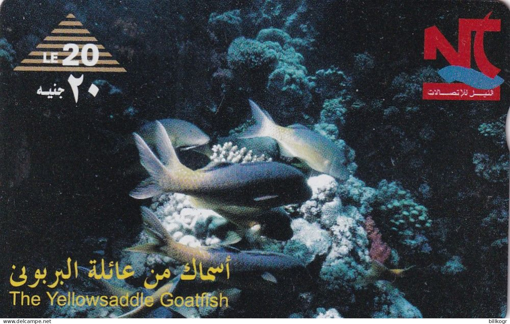 EGYPT(L&G) - Saddle Goatfish, CN : 804L, Tirage 84000, Used - Egipto